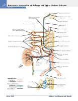 Frank H. Netter, MD - Atlas of Human Anatomy (6th ed ) 2014, page 355